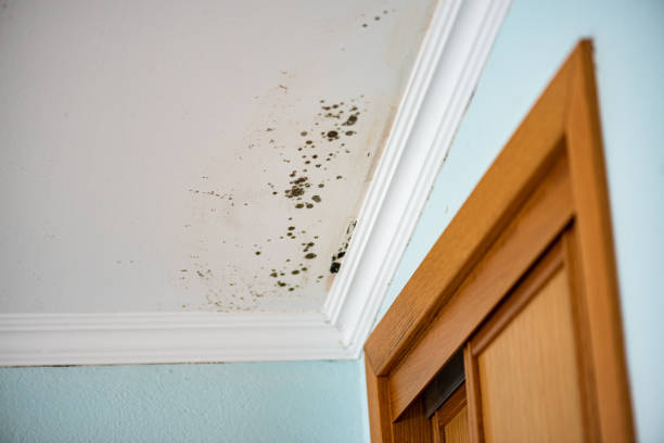 Water Damage Restoration in Leisure World, MD