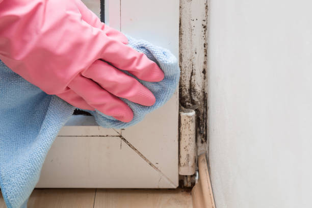 Best Mold Cleaning Services  in Leisure World, MD